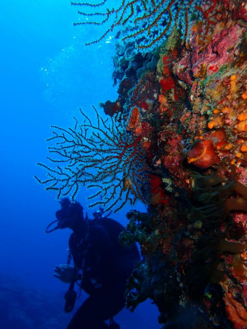 Qing Feng Diving B&B Lyudao Esterno foto