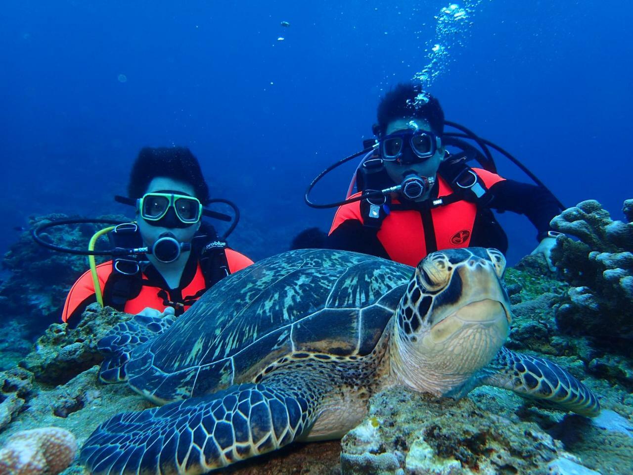 Qing Feng Diving B&B Lyudao Esterno foto