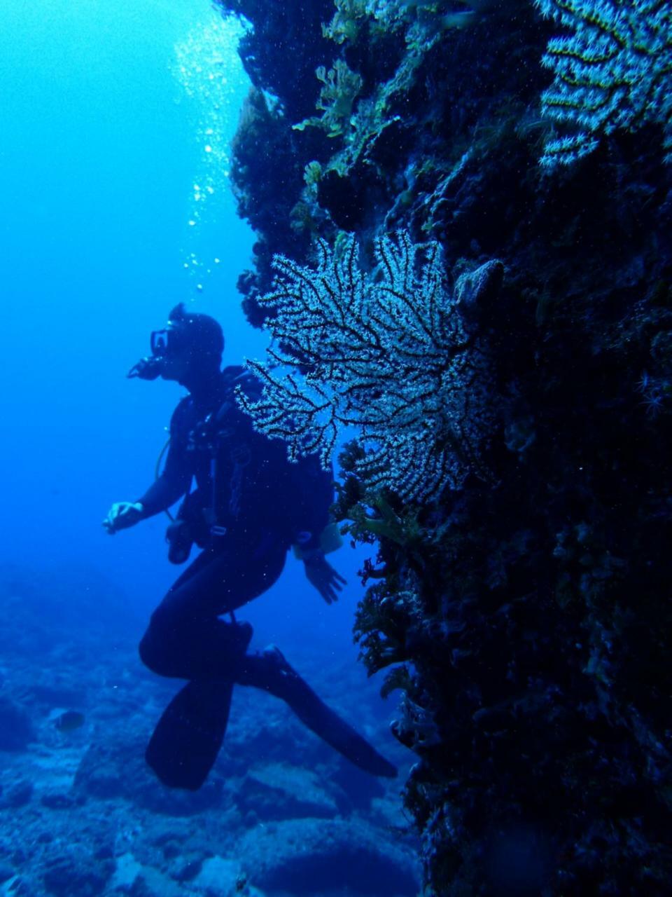Qing Feng Diving B&B Lyudao Esterno foto